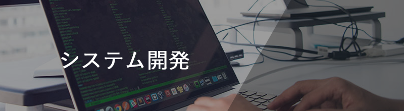System Development